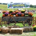 Summers Farm Adventure
